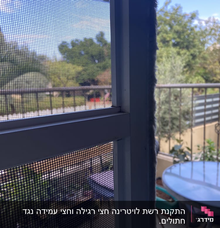 התקנת רשת לויטרינה חצי רגילה וחצי עמידה נגד חתולים.

